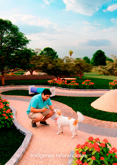 Parque Petfriendly : Espacio para que tu engreído juegue, corra y disfrute libre.