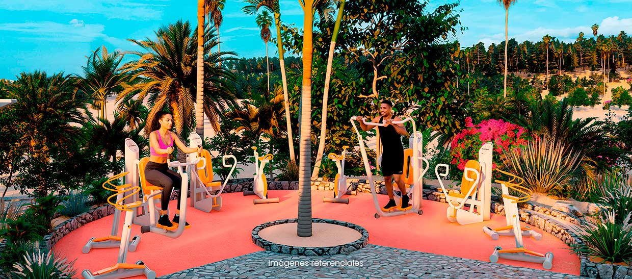 Gimnasio al aire libre: máquinas funcionales rodeadas de naturaleza para entrenar, relajarte y activar tu energía.