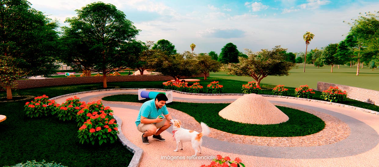 Parque Petfriendly: un espacio pensado para que tu engreído juegue, corra y disfrute con total libertad.